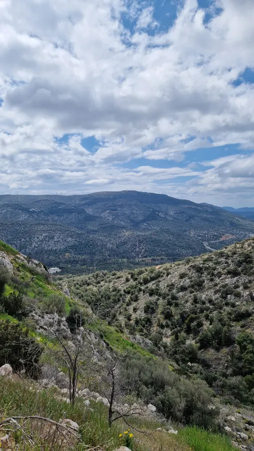 Ποικίλο Όρος