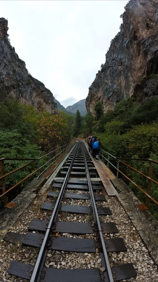 Βουραϊκός